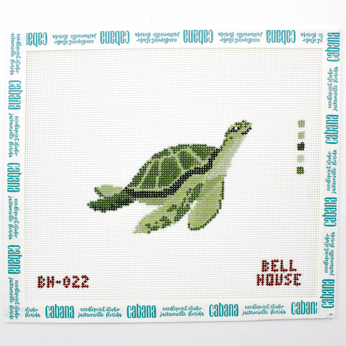 Sea Turtle (BHD)