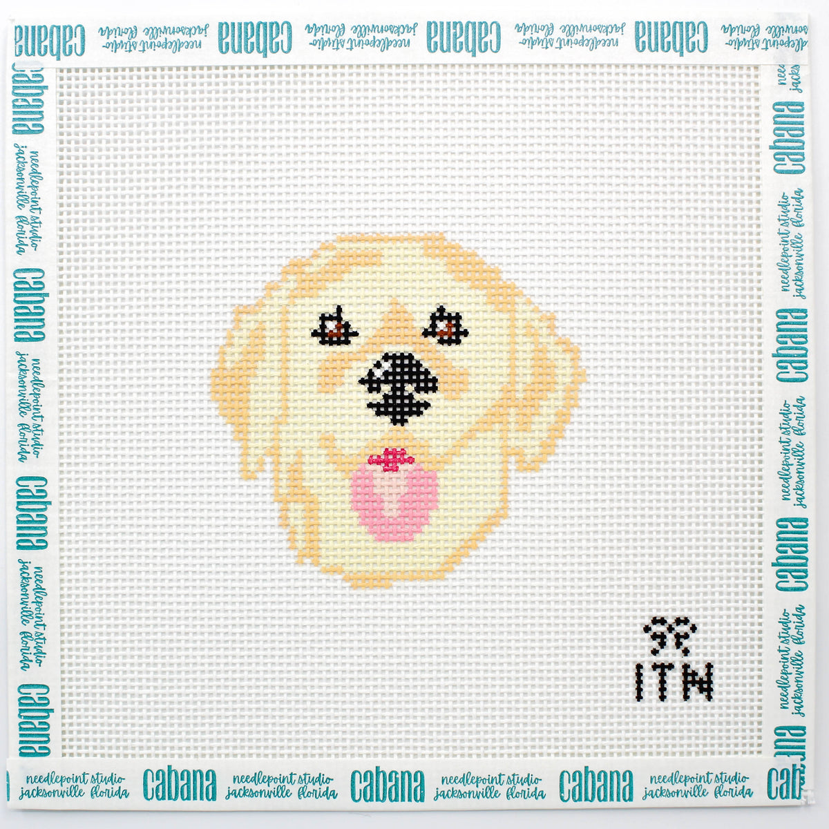 Golden Retriever (ITN)