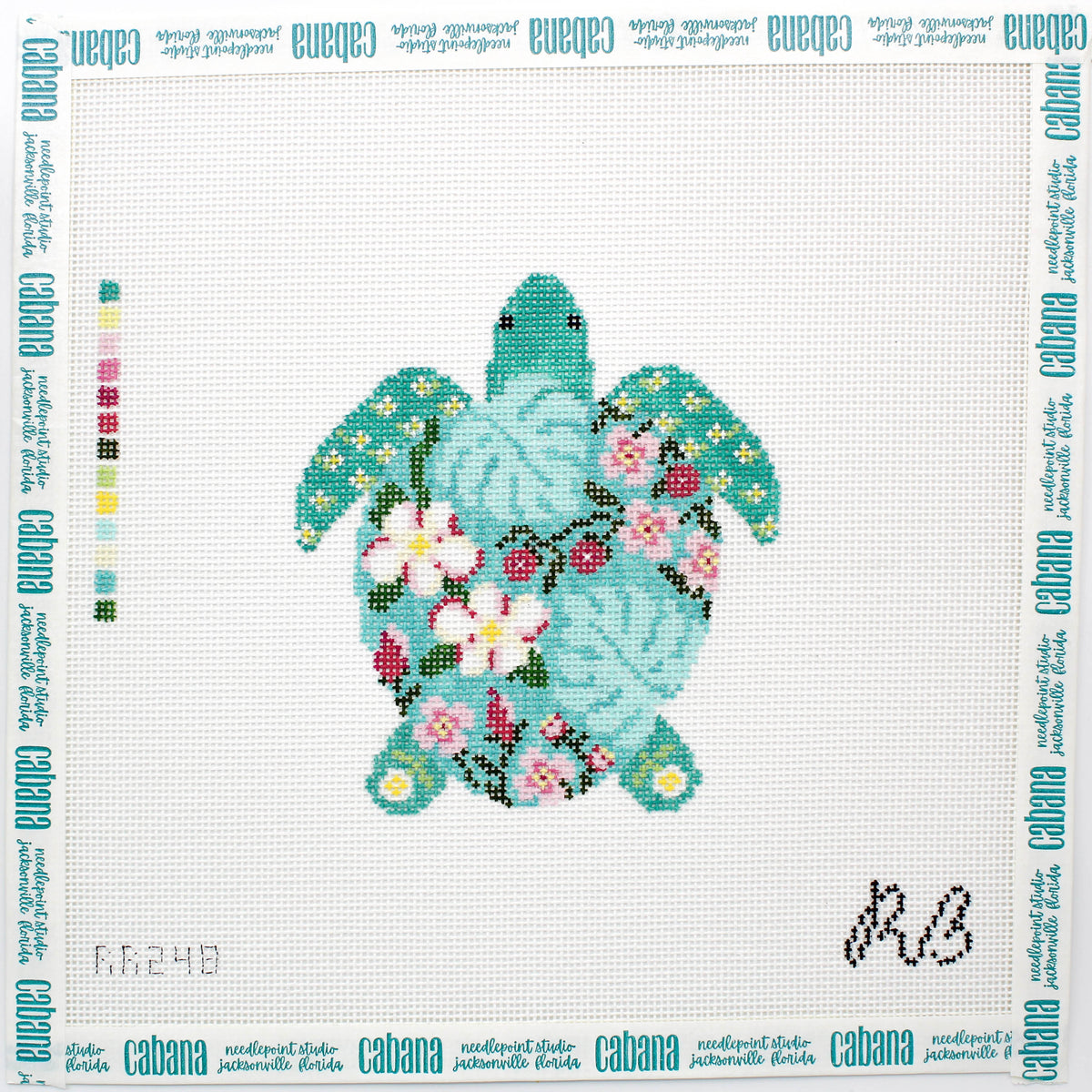 Tilly the Turtle