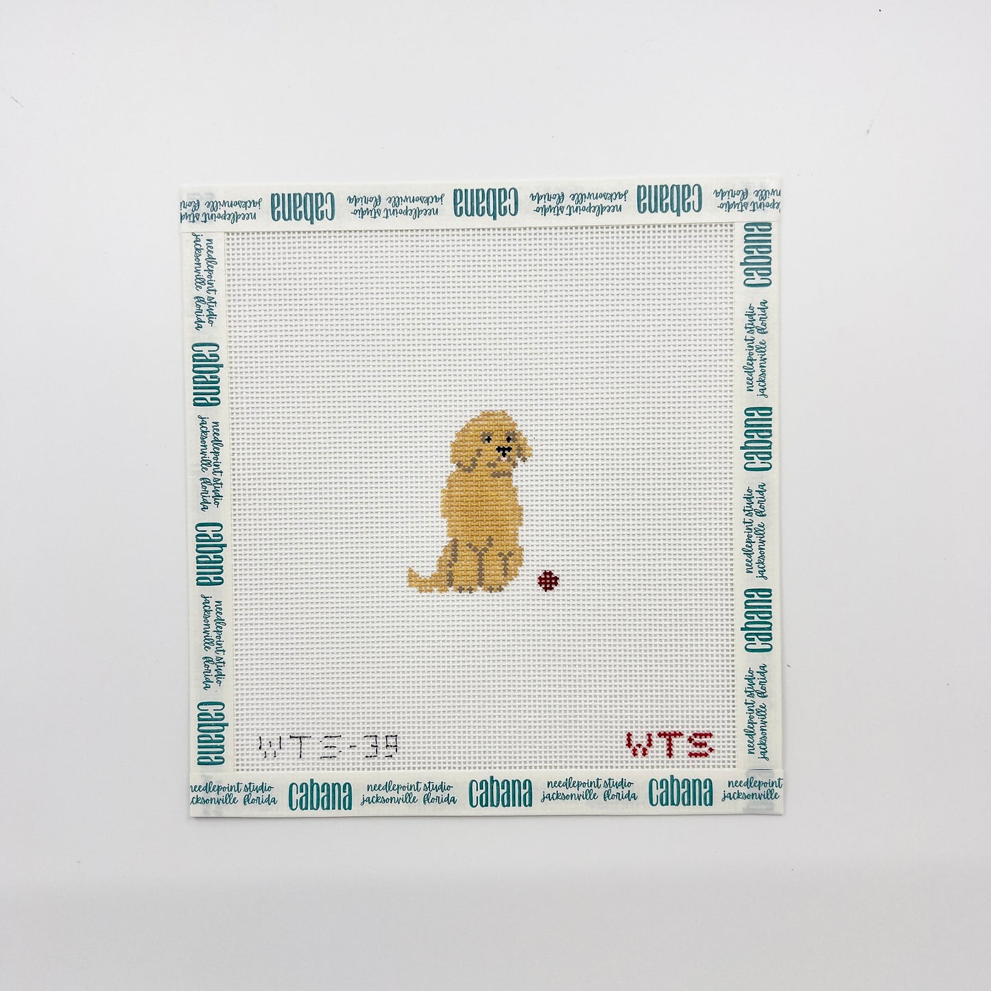 Mini Golden Retriever
