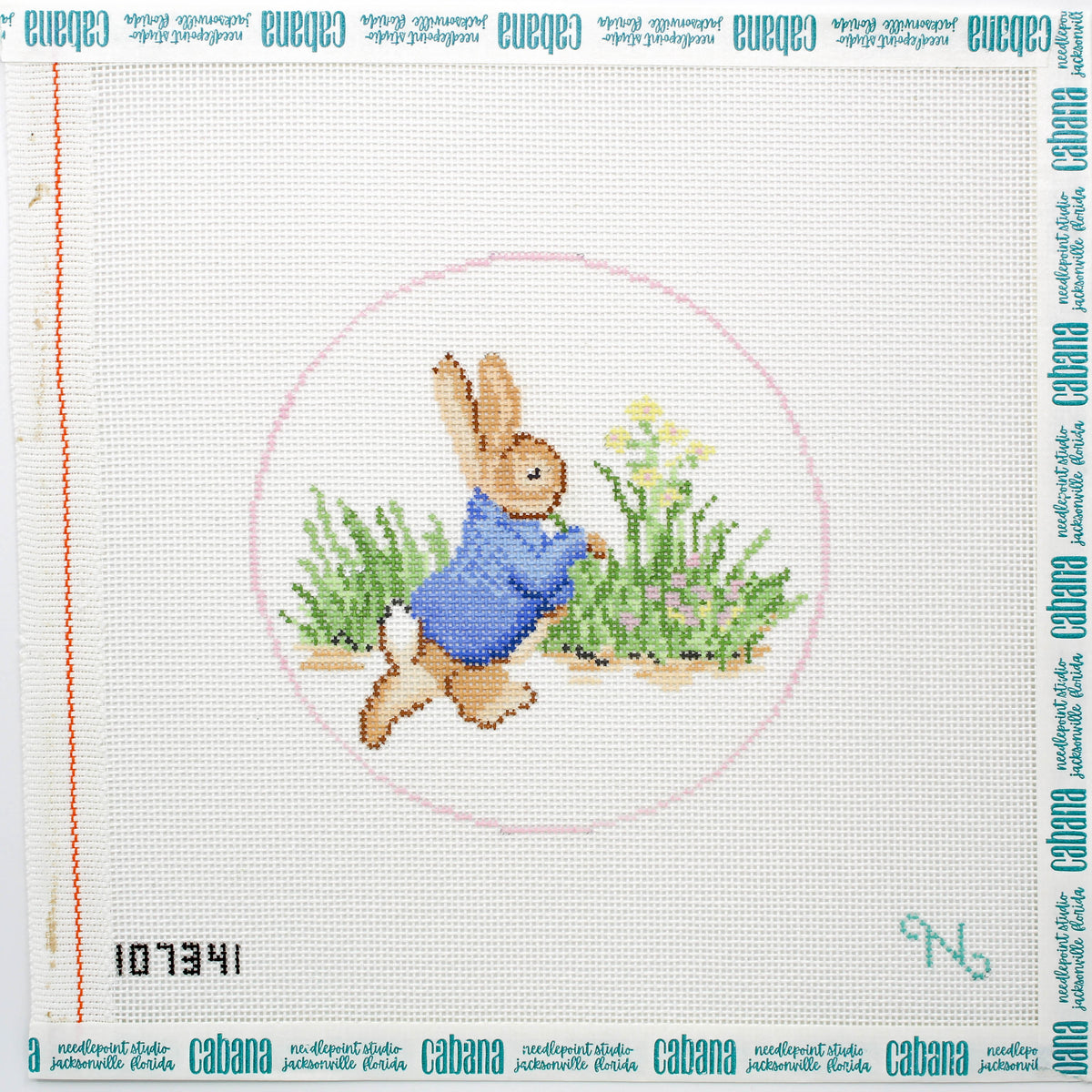 Peter Rabbit Ornament