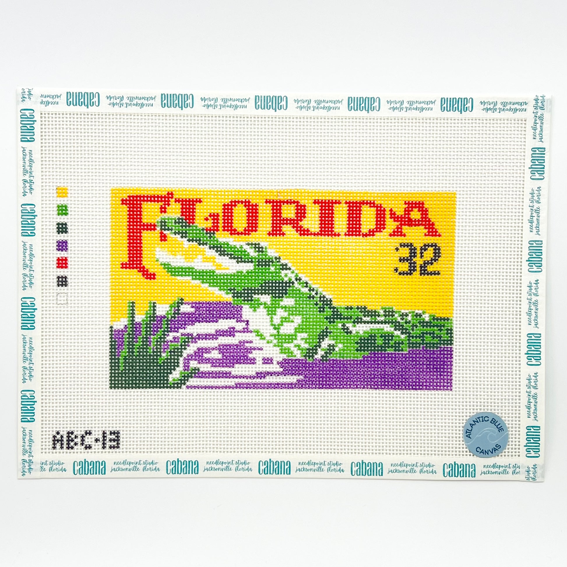 Florida Alligator (ABC)