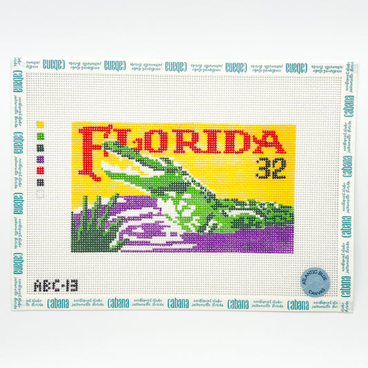Florida Alligator (ABC)