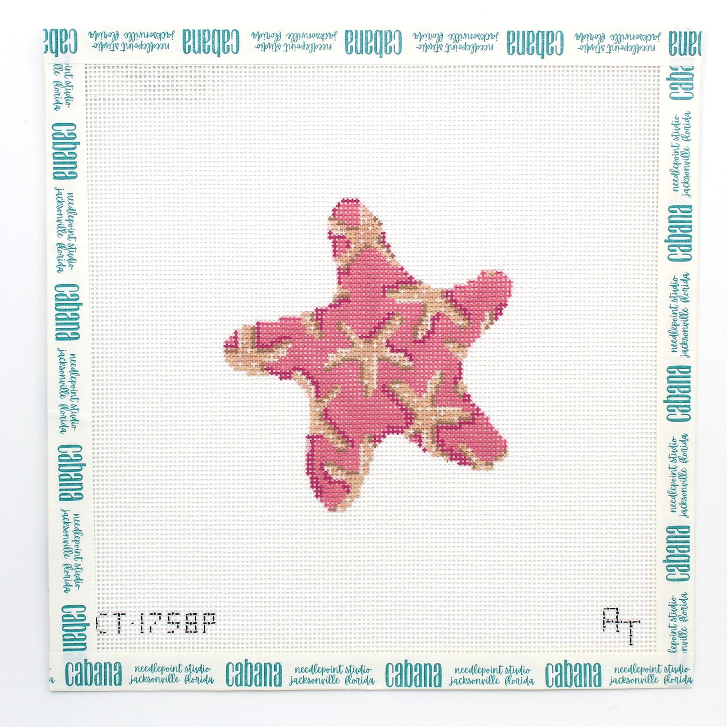 Pink Starfish