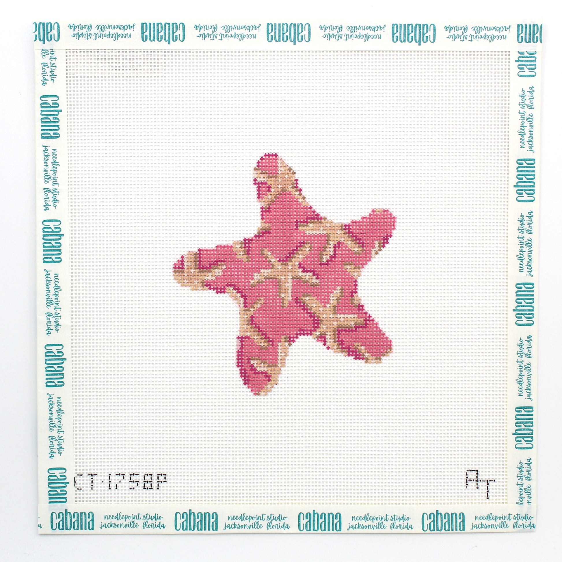 Pink Starfish