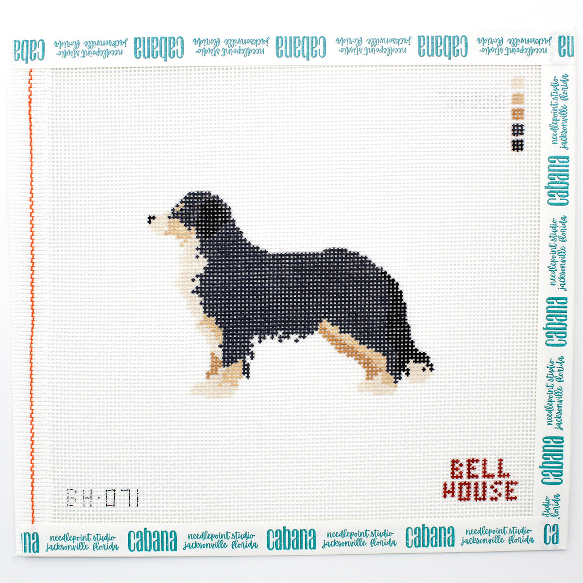 Bernese Mountain Dog