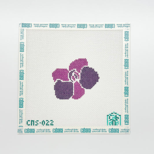 Orchid