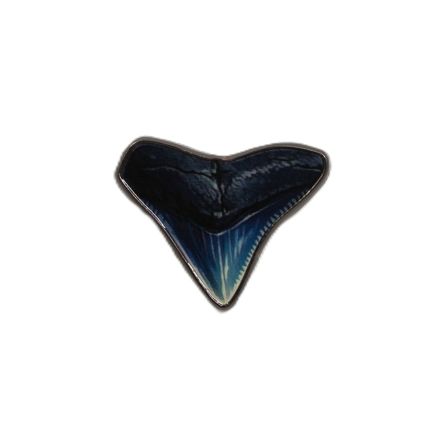 Shark Tooth Needle Minder