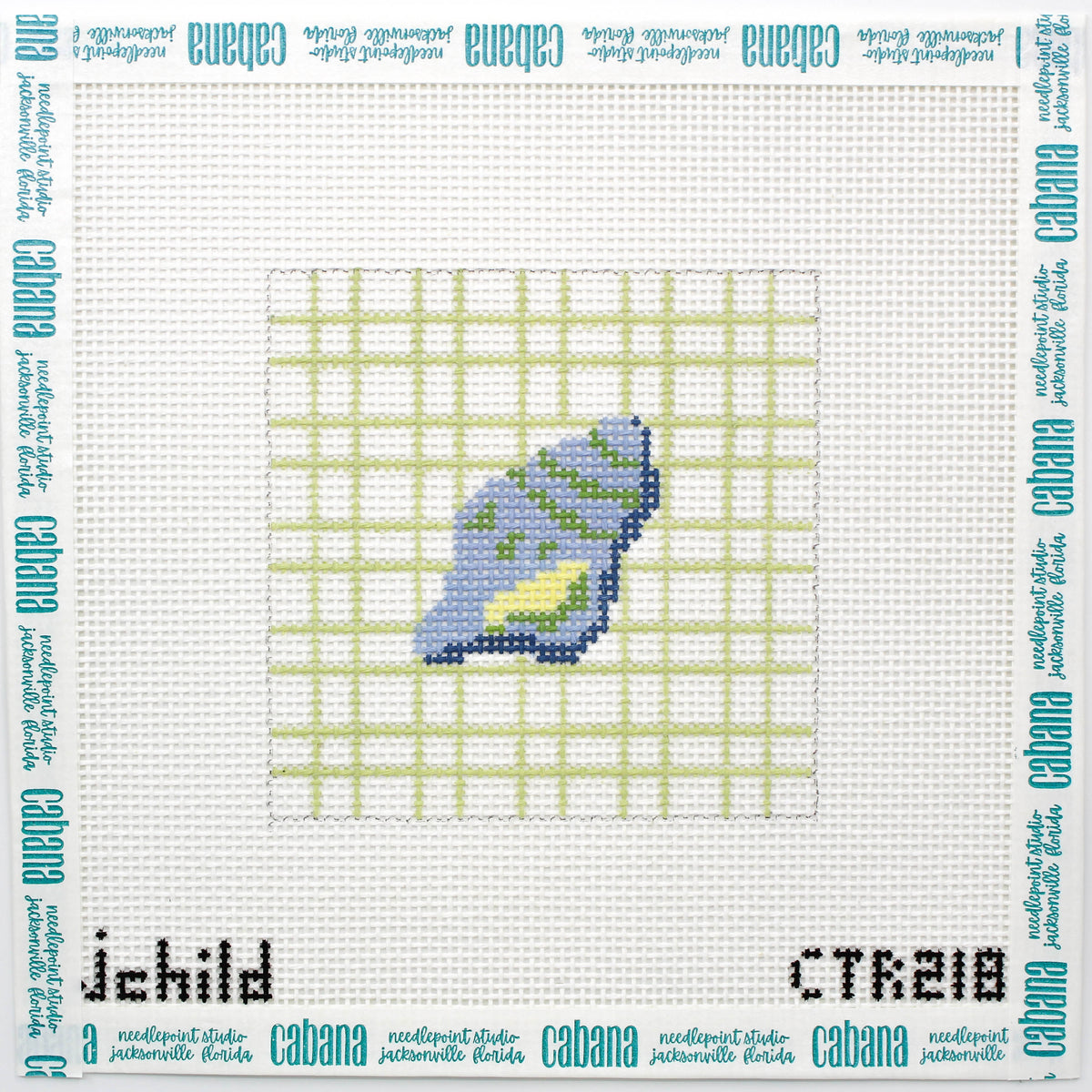 Seashell (JCD)