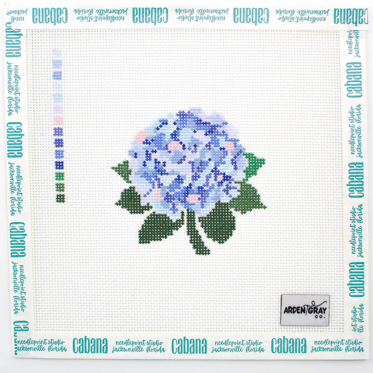 Colorful Hydrangea