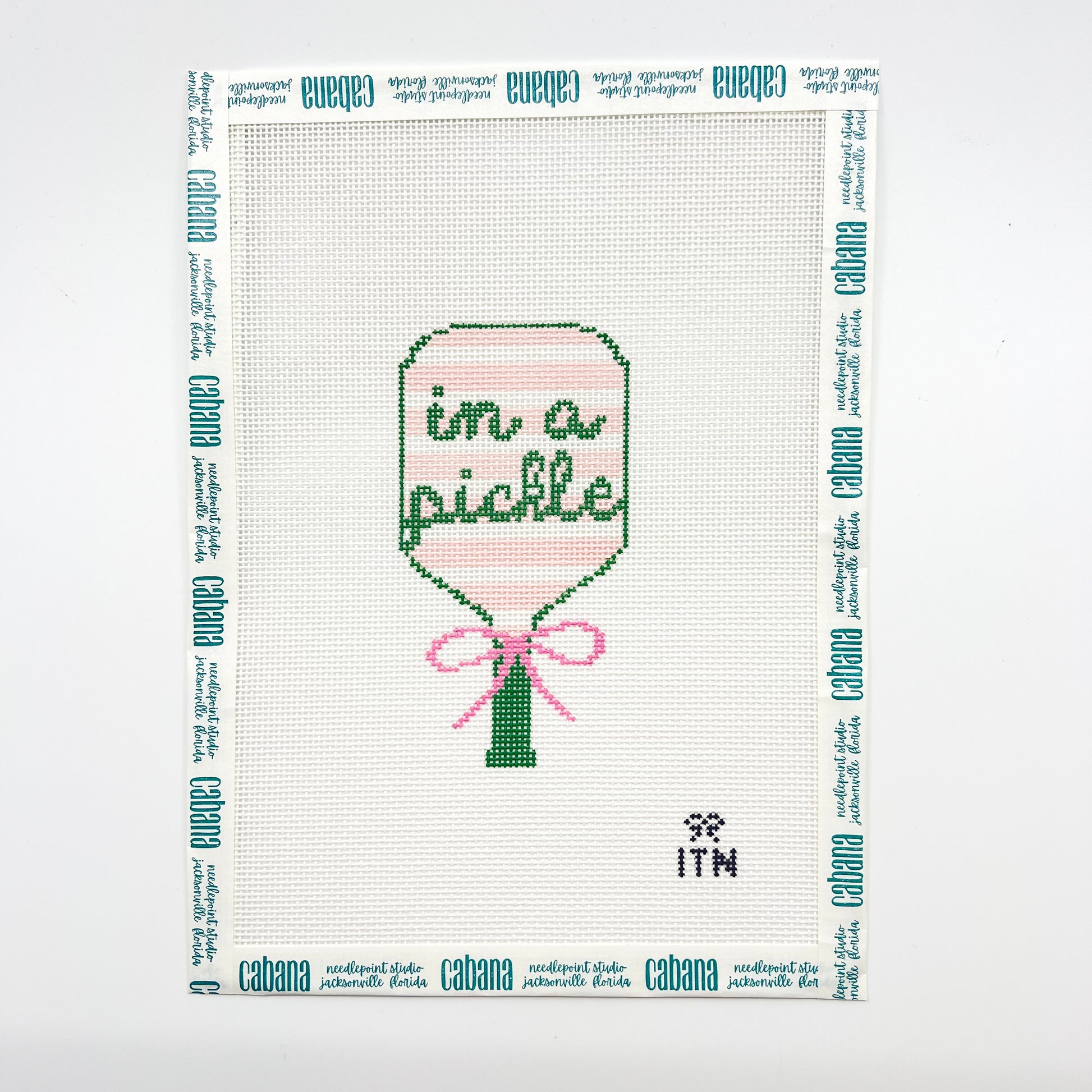 "In a Pickle" Pickleball Racket