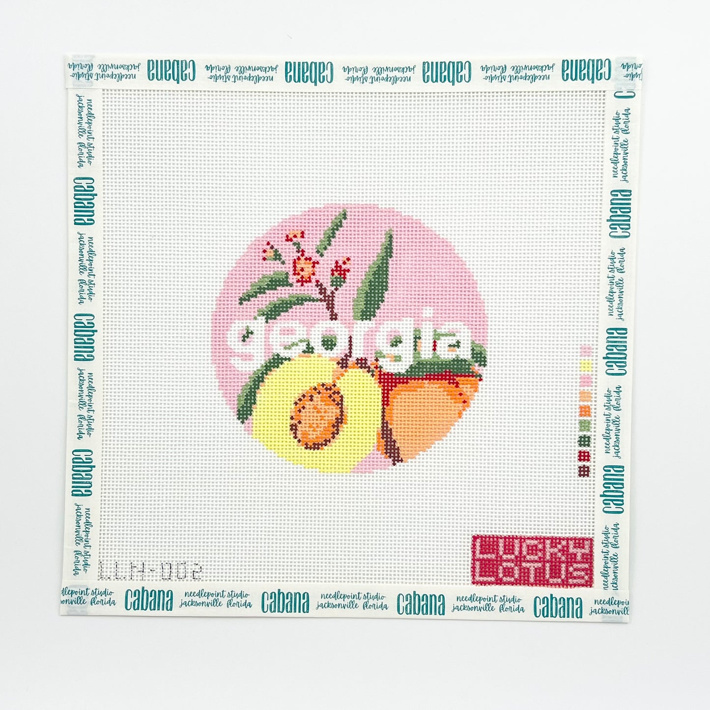 50 States Round | Georgia