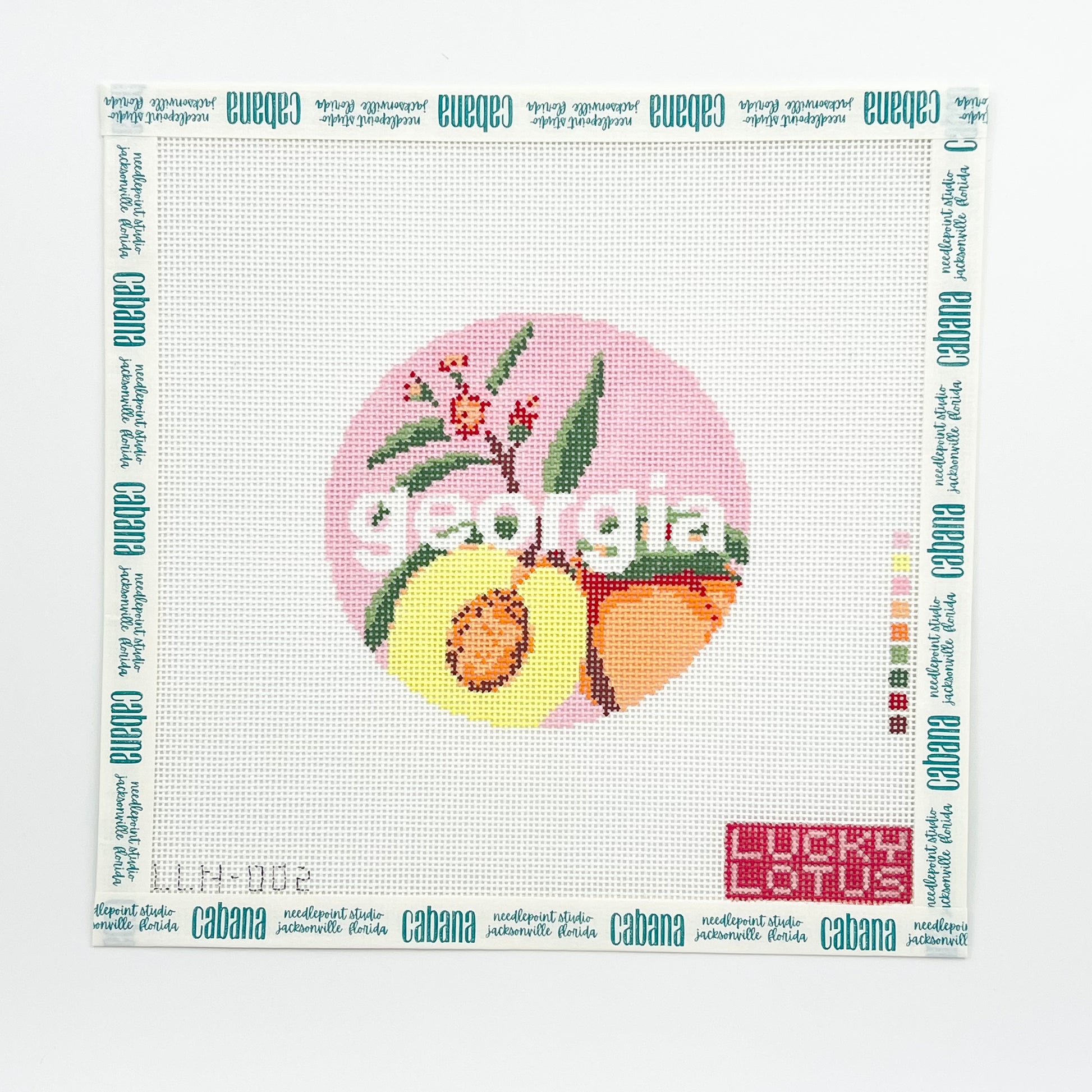 50 States Round | Georgia