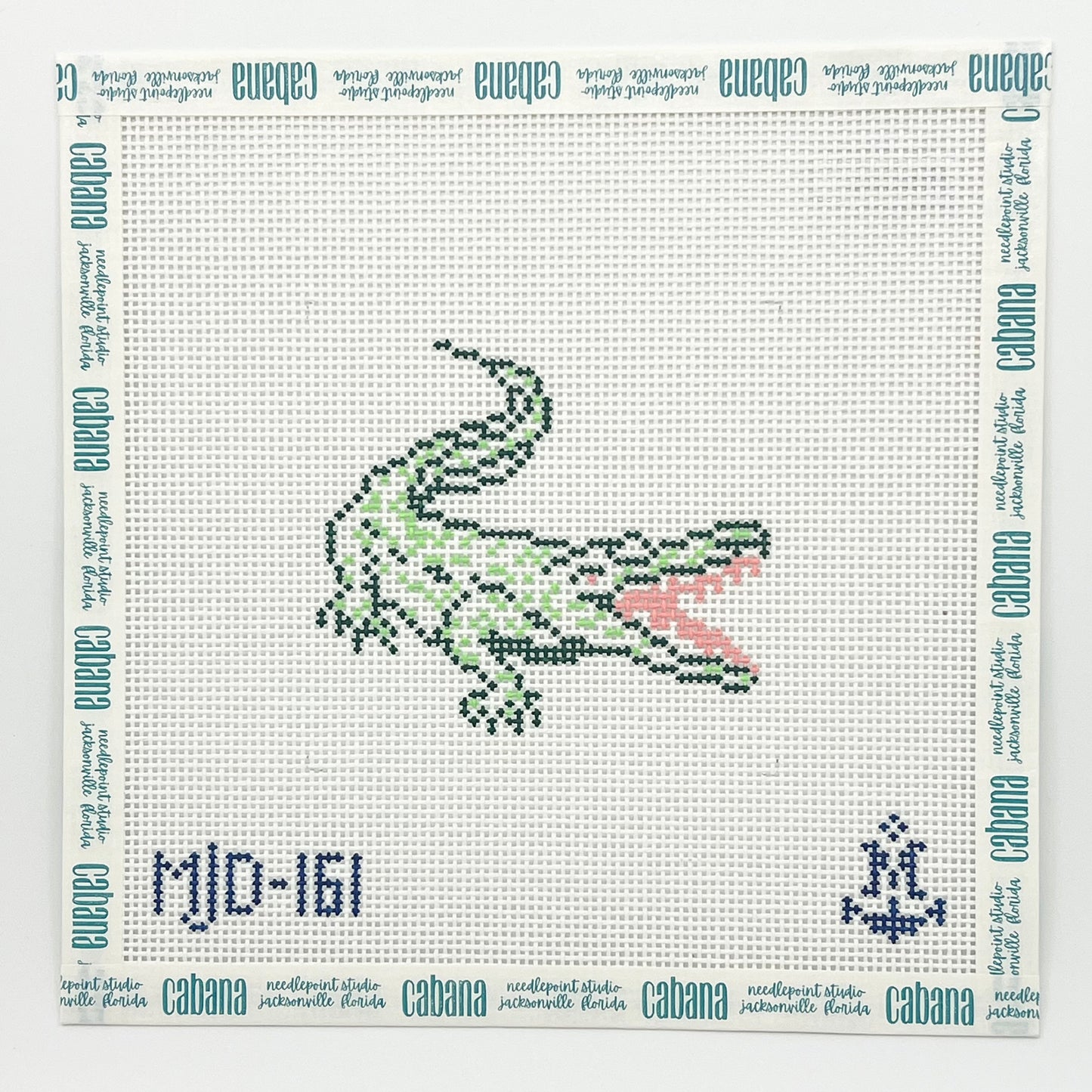 Florida Alligator
