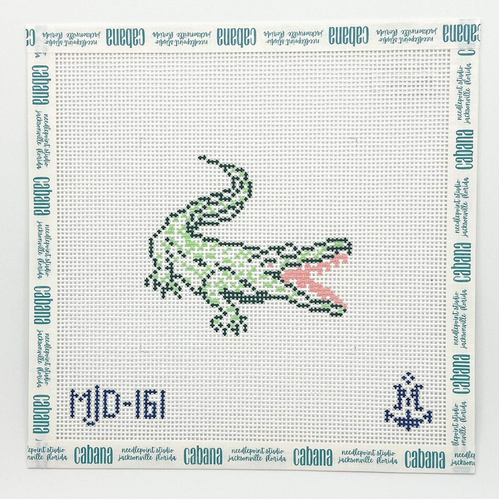 Florida Alligator