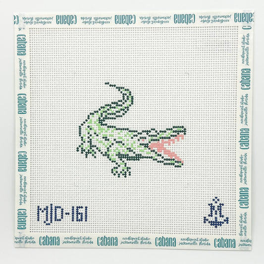 Florida Alligator