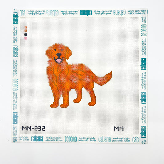 Red Golden Retriever