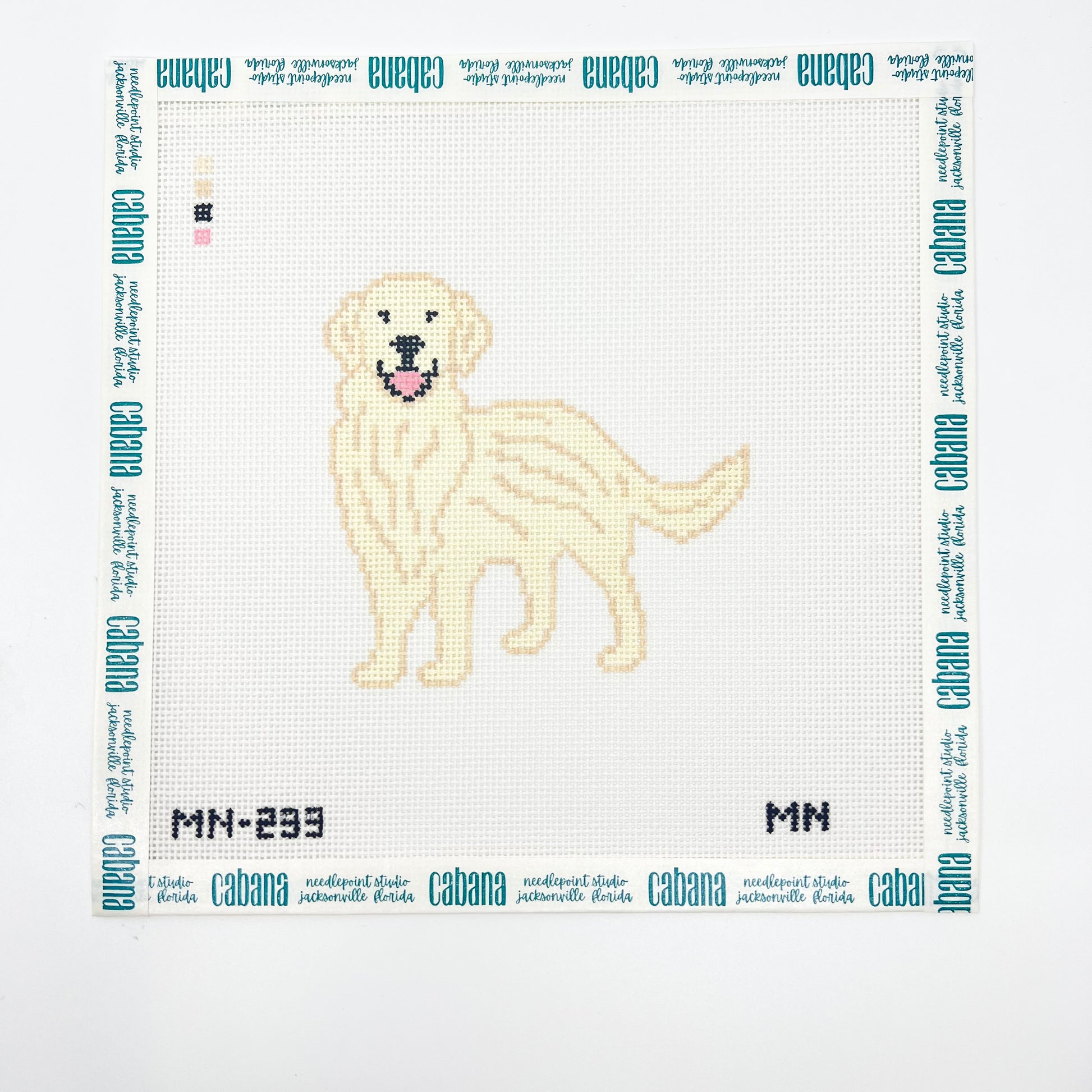 English Cream Golden Retriever