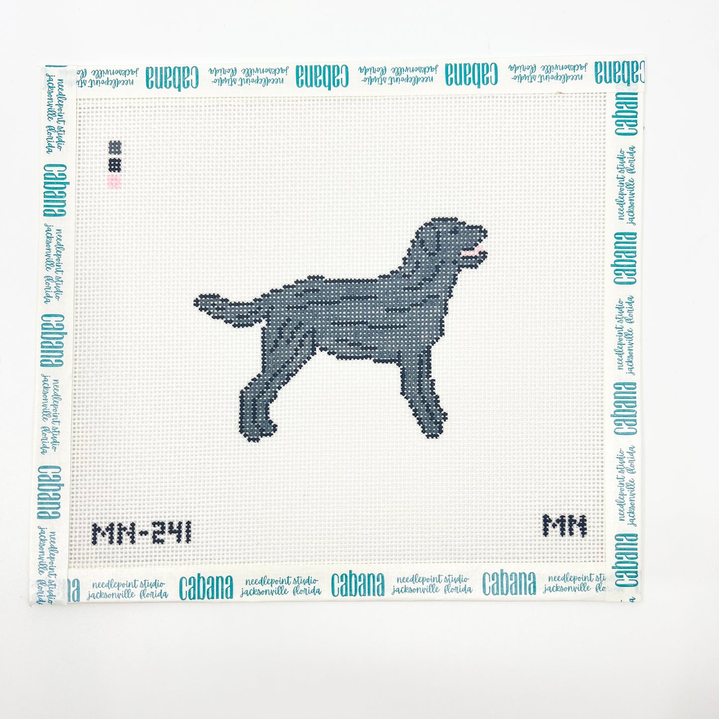 Black Labrador Retriever