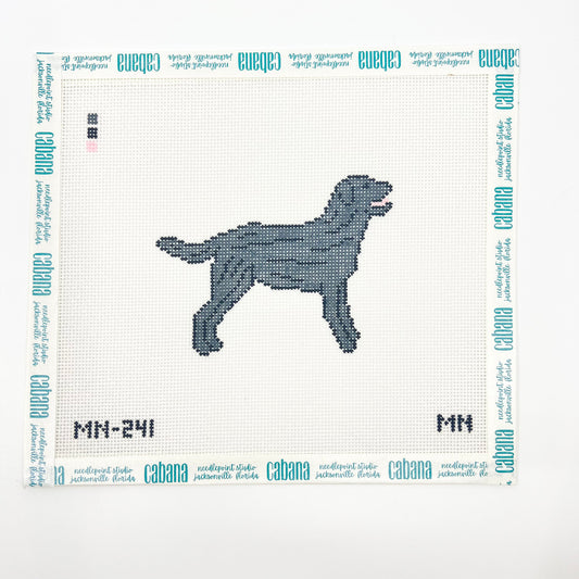 Black Labrador Retriever
