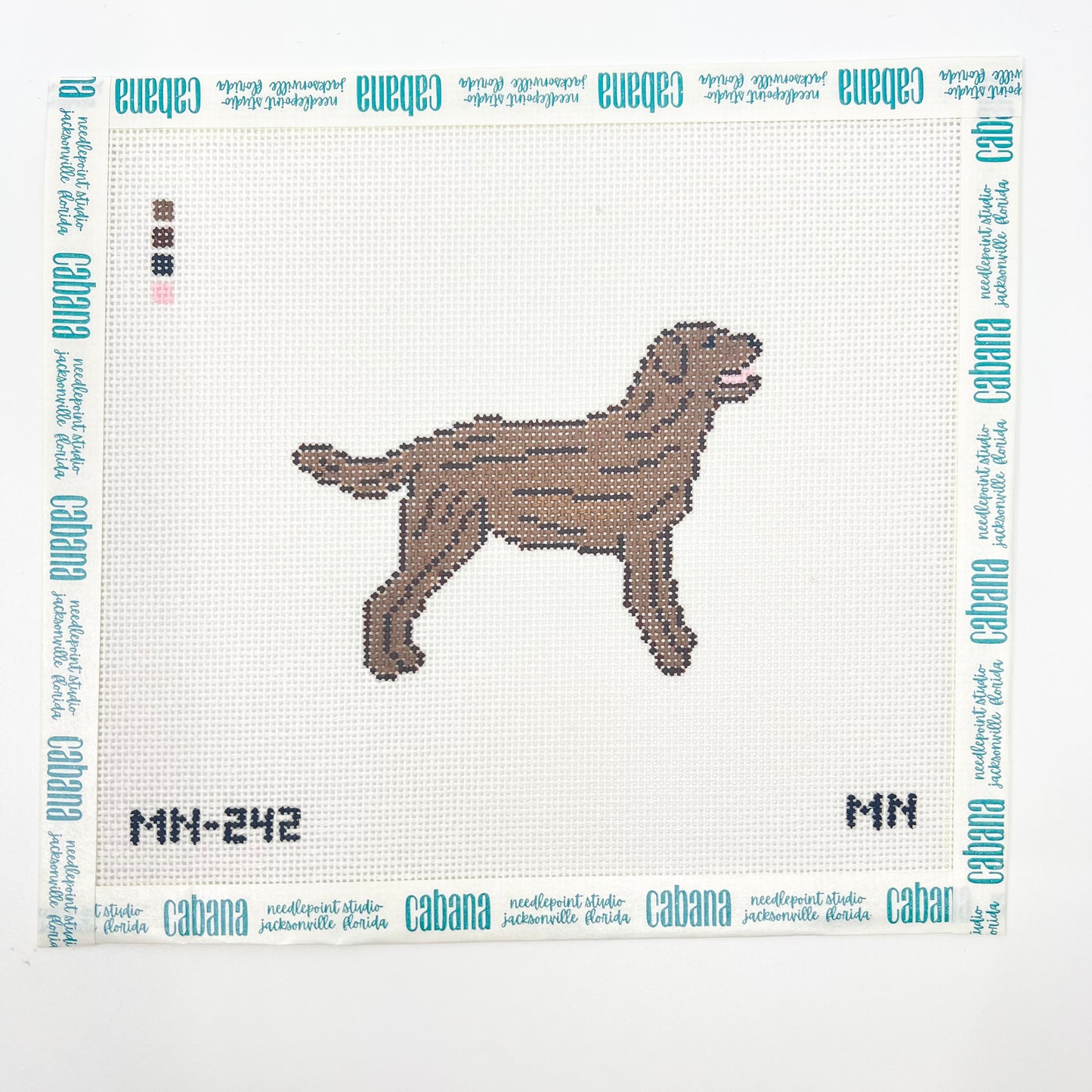 Chocolate Brown Labrador Retriever