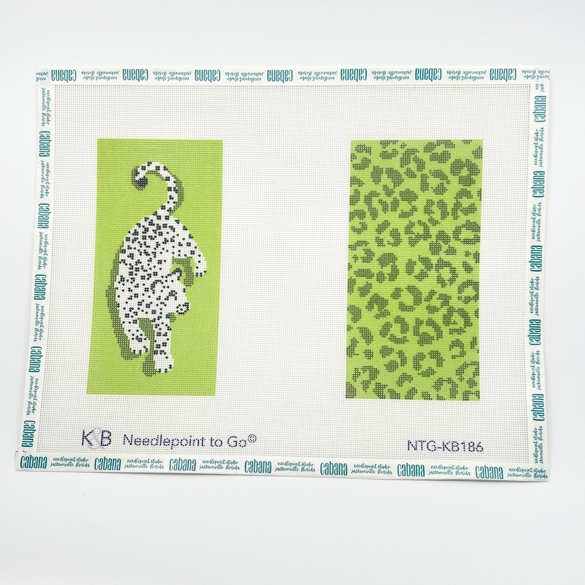 Leopard Eyeglass Case - Green