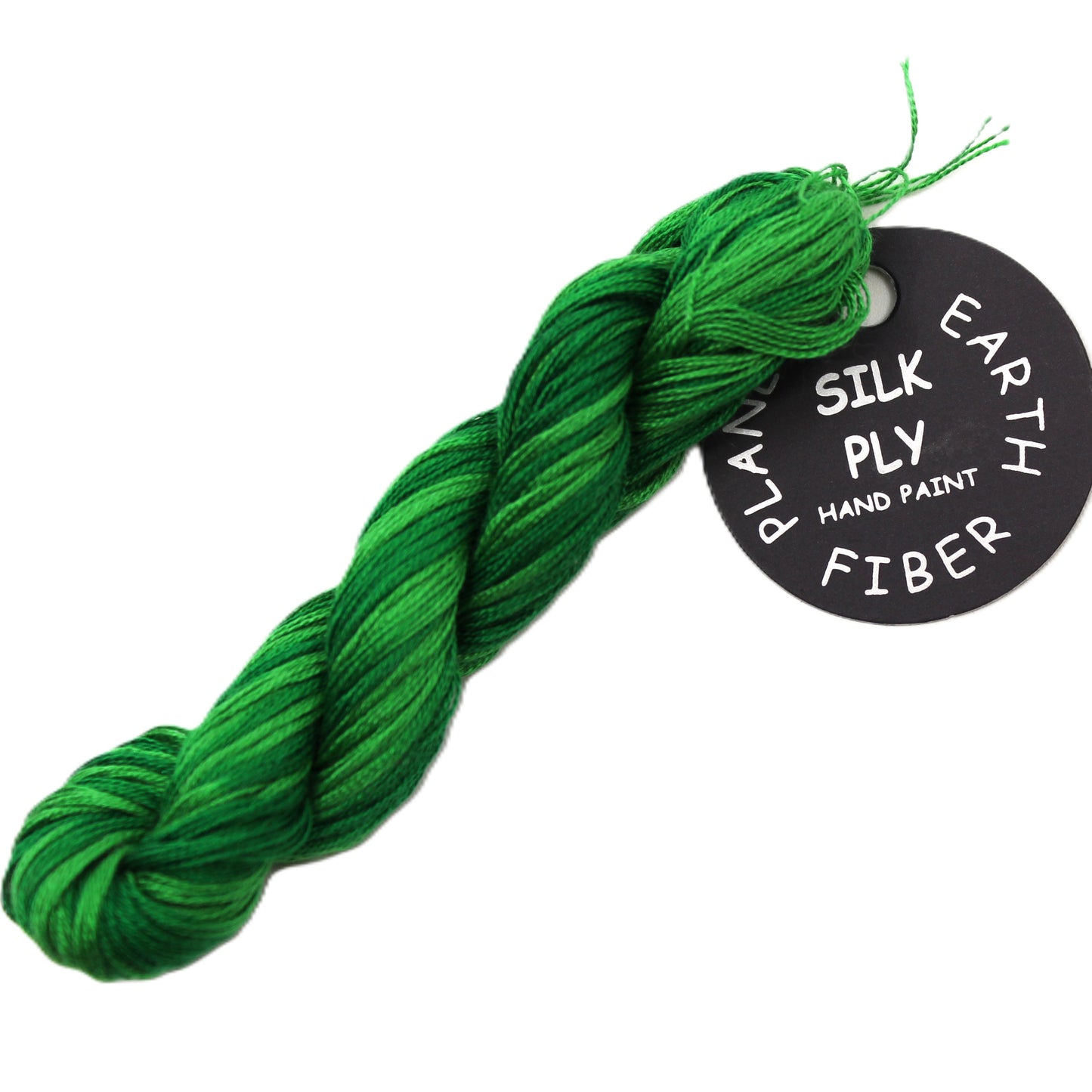 Planet Earth Silk Ply Variegated 1049V Amazon