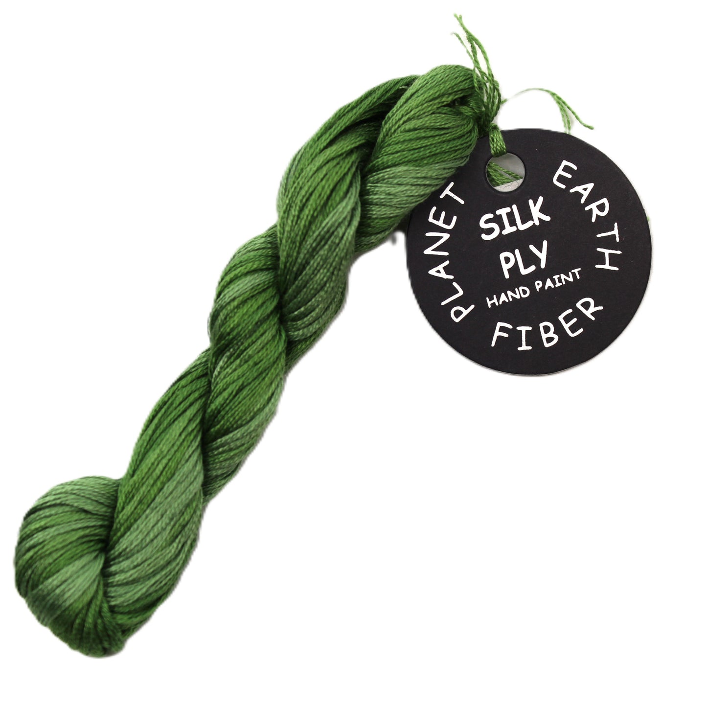 Planet Earth Silk Ply Variegated 1309V Leek