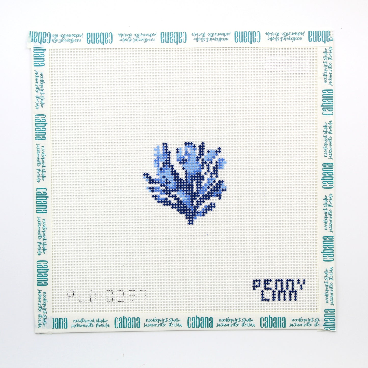 Blue Coral