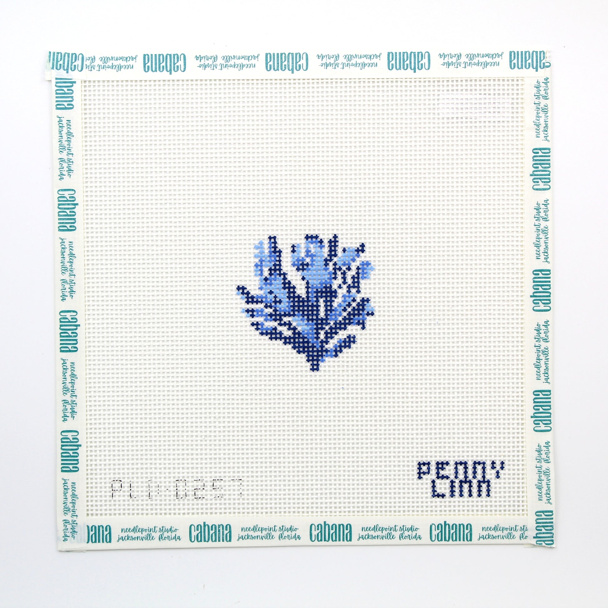 Blue Coral