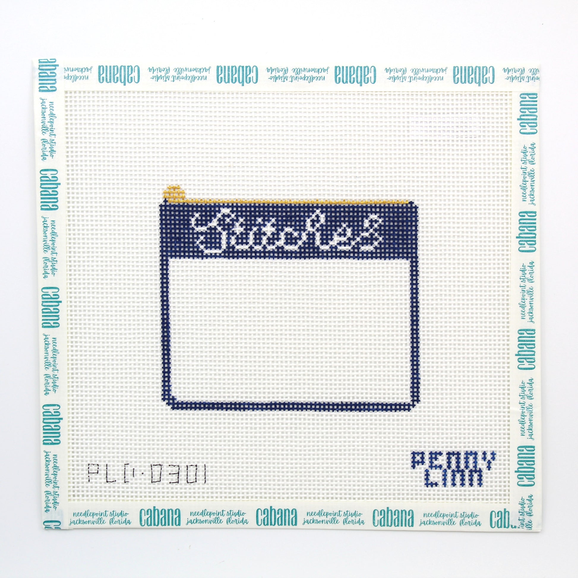 Stitches Pouch