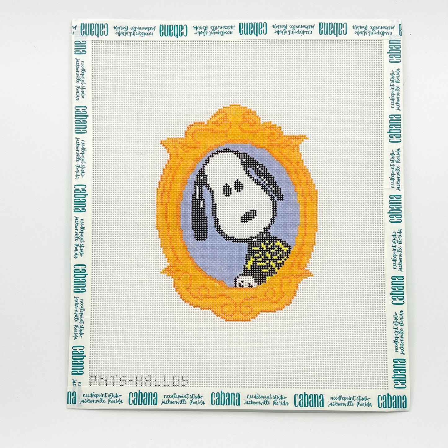 Framed Snoopy Skeleton