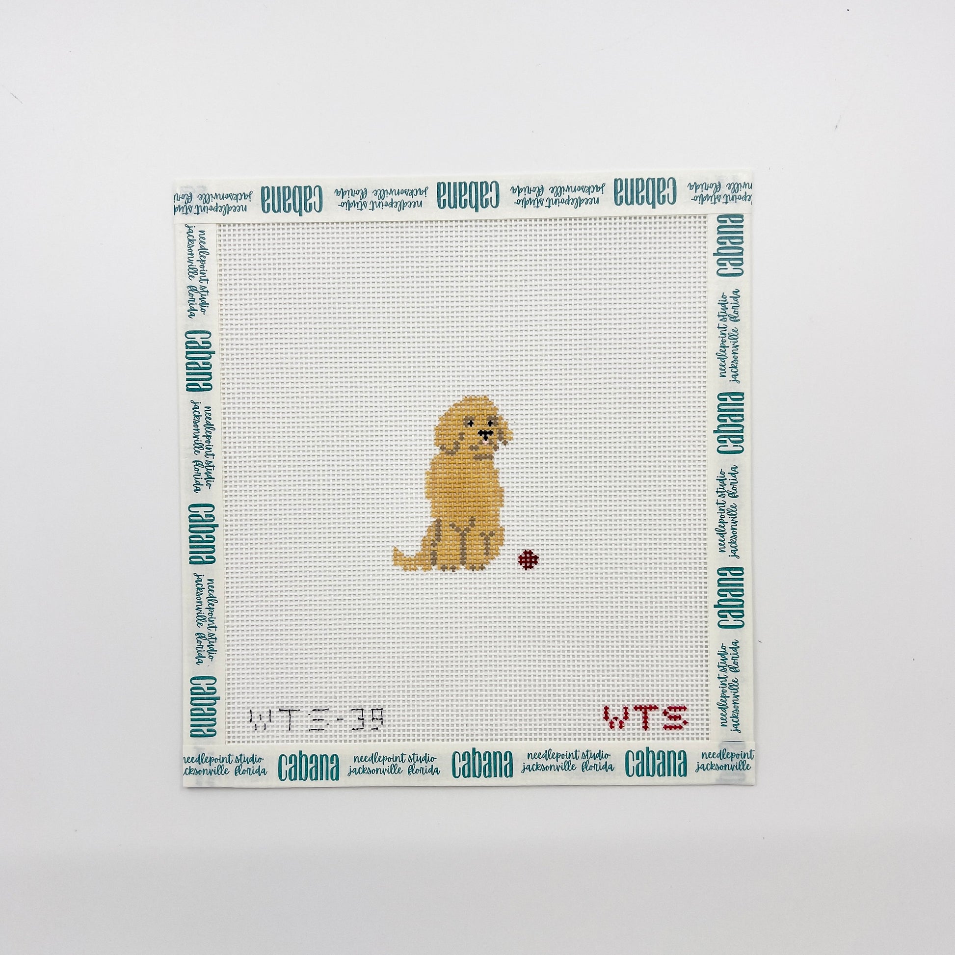 Mini Golden Retriever