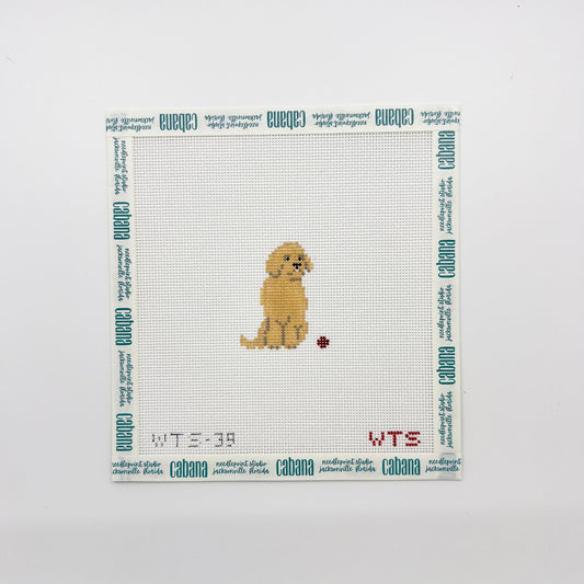 Mini Golden Retriever