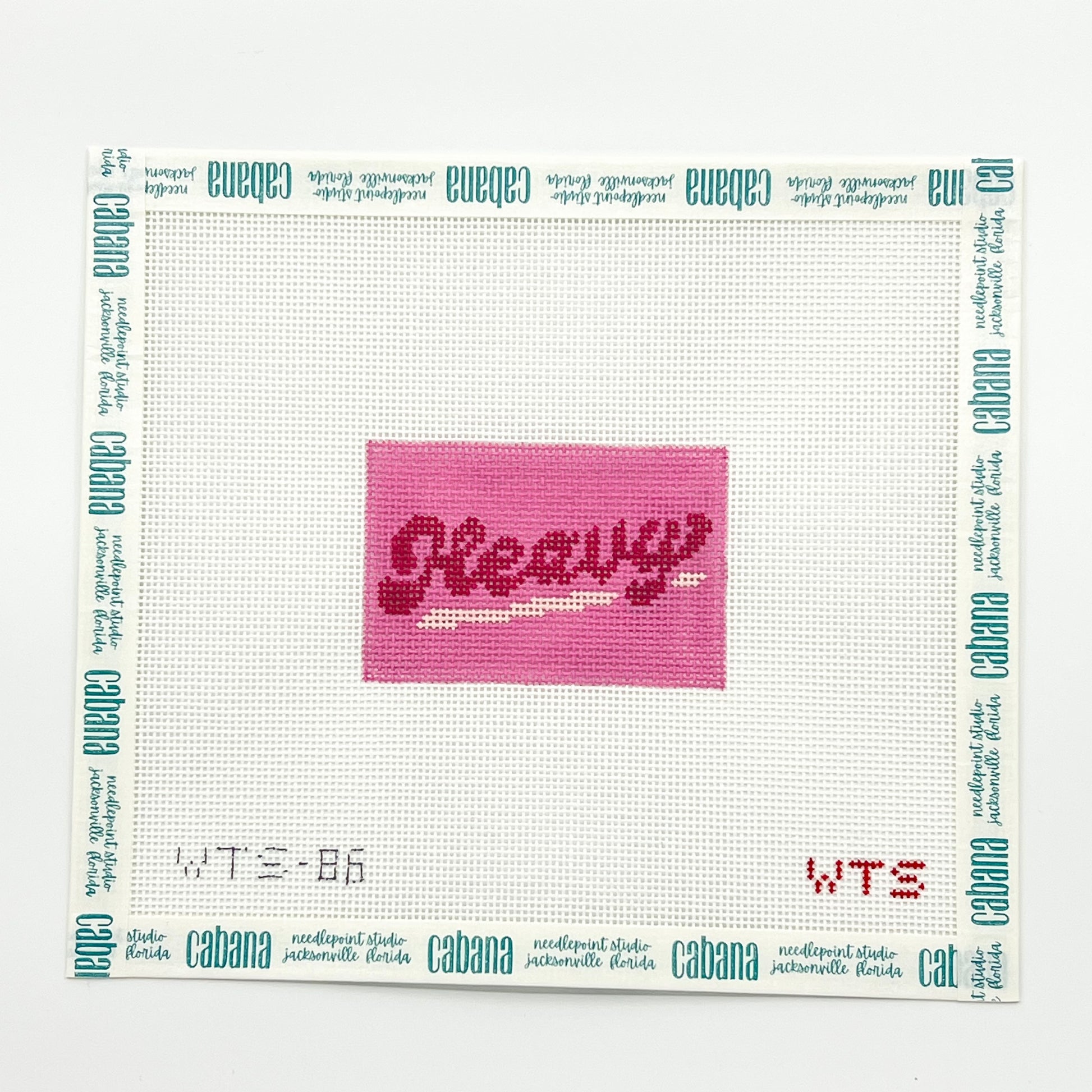 Heavy Luggage Tag