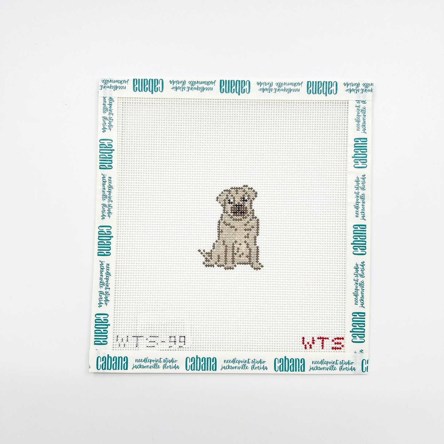 Mini Pug