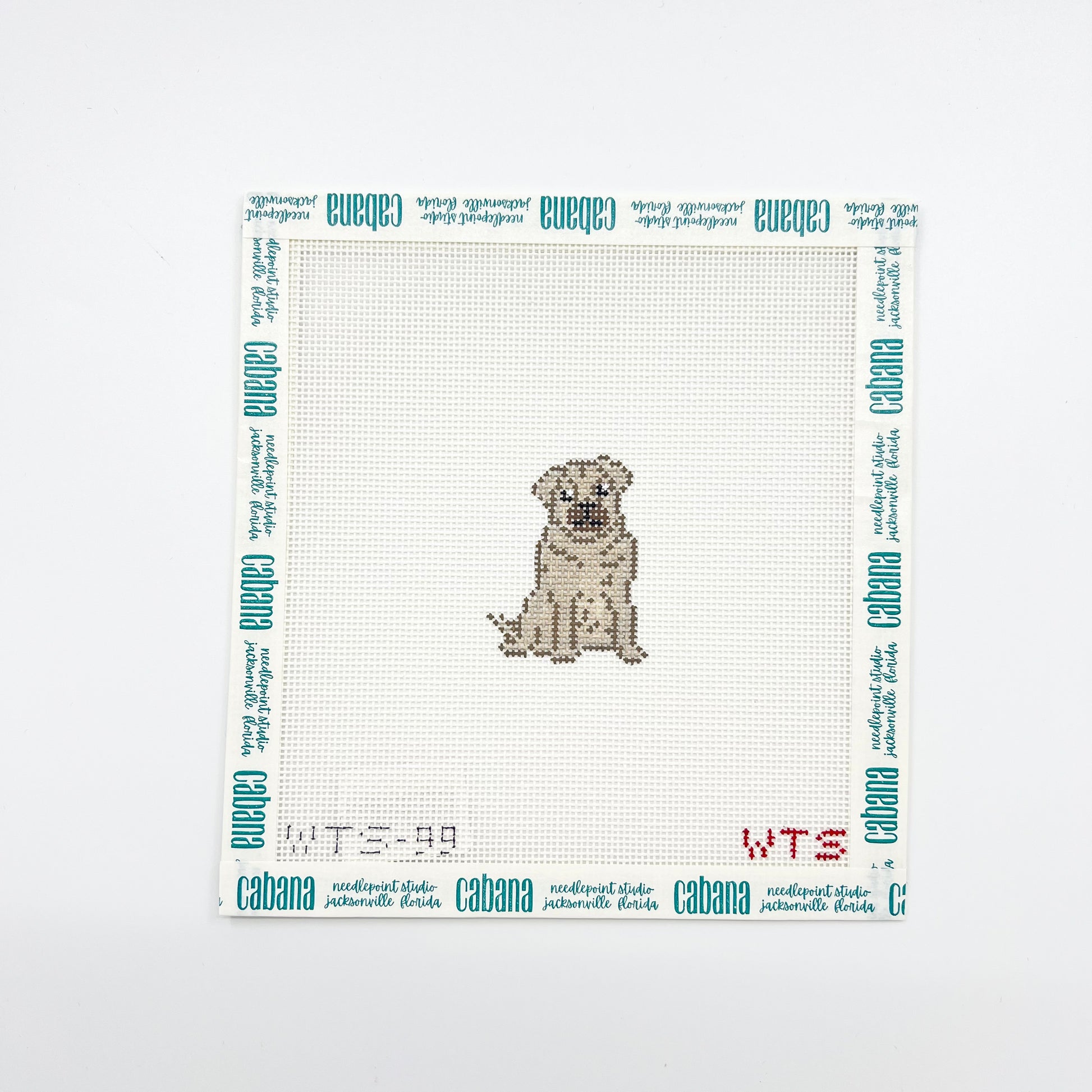 Mini Pug